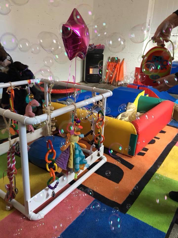 30123846_10204165100164691_6057254375401717760_n